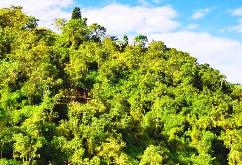 تختخواب و صبحانه Finca Petrona