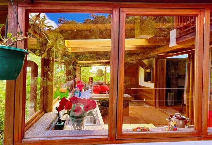 تختخواب و صبحانه Finca Petrona