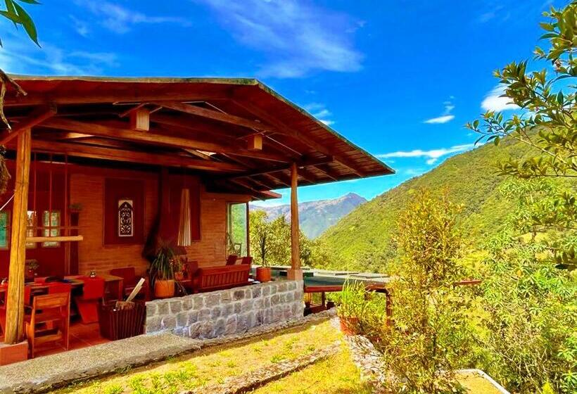 تختخواب و صبحانه Finca Petrona