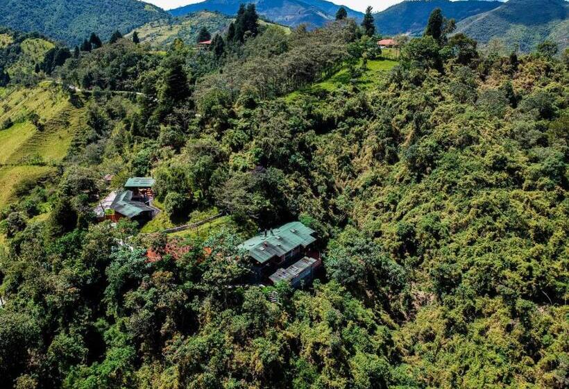 تختخواب و صبحانه Finca Petrona