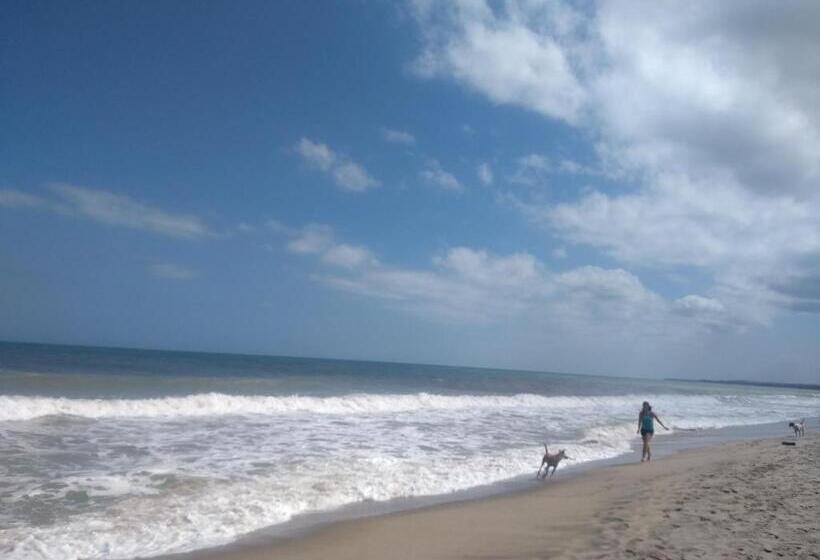 پانسیون Palomino  Hostel Balneario Rio Ancho