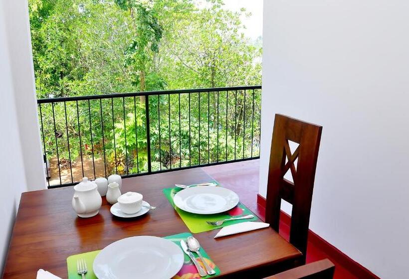 تختخواب و صبحانه Little Swan Guest House