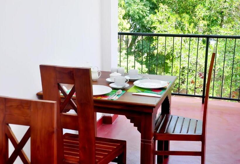 تختخواب و صبحانه Little Swan Guest House