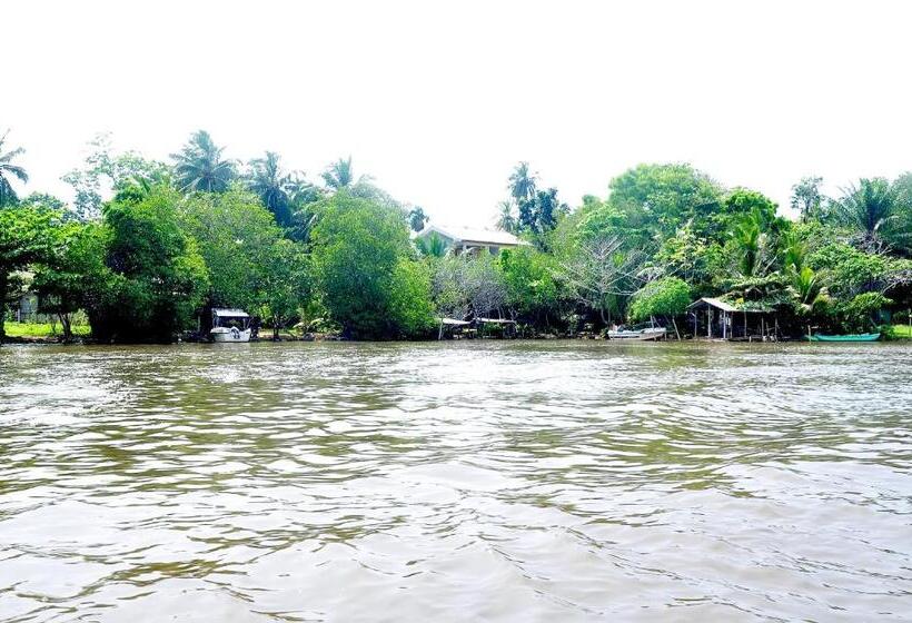 تختخواب و صبحانه Little Swan Guest House
