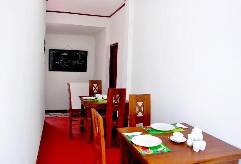 تختخواب و صبحانه Little Swan Guest House
