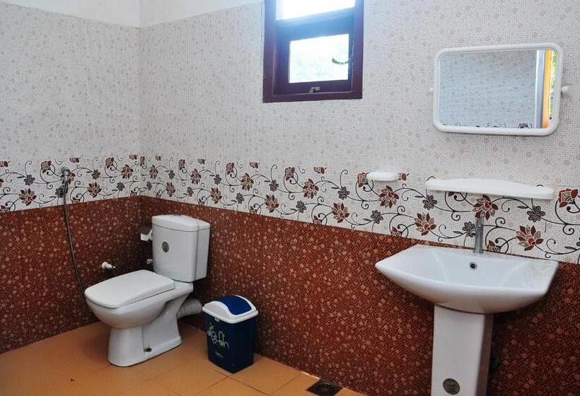 تختخواب و صبحانه Little Swan Guest House