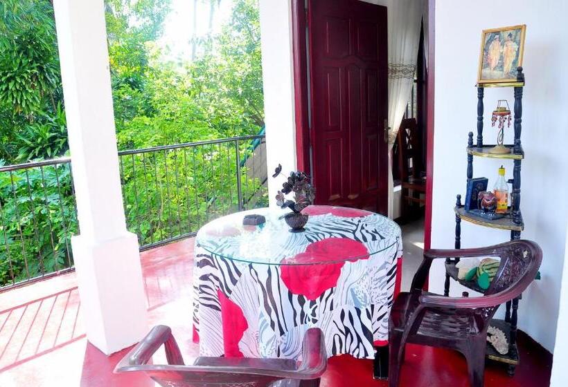 تختخواب و صبحانه Little Swan Guest House