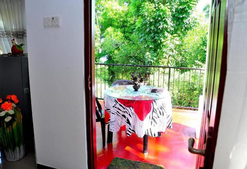 تختخواب و صبحانه Little Swan Guest House