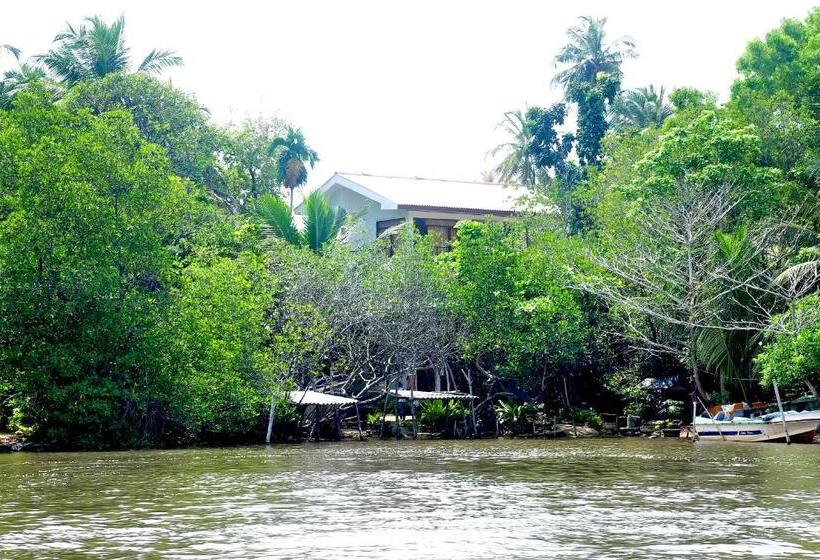 تختخواب و صبحانه Little Swan Guest House