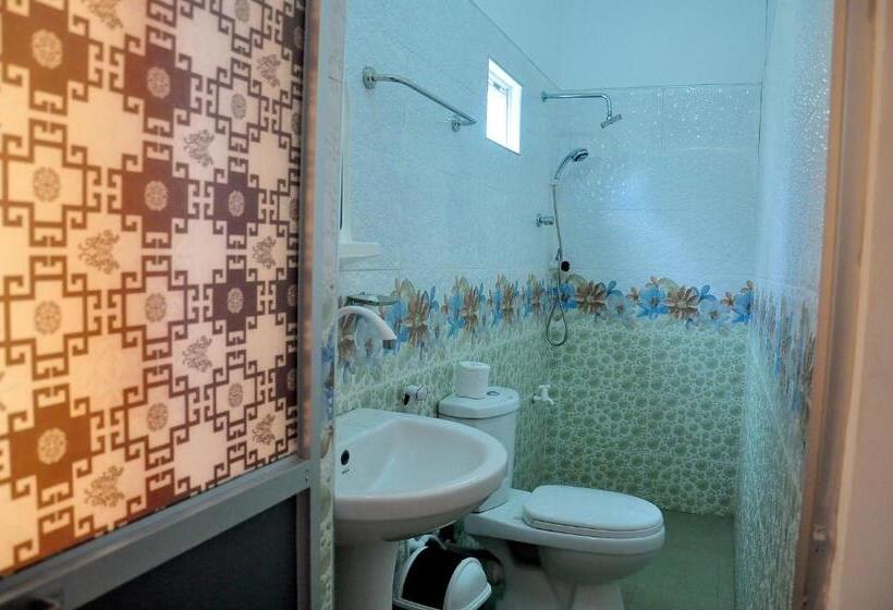 تختخواب و صبحانه Little Swan Guest House