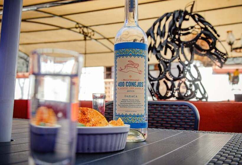 هتل Boutique El Viejo Mundo