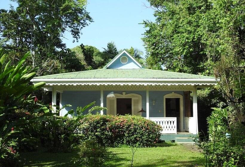 هاستل Playa Negra Guesthouse