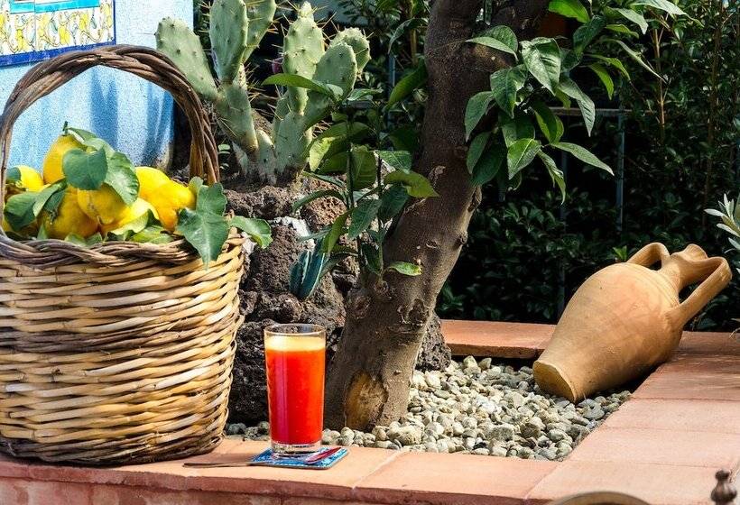 پانسیون Mediterranean Charm