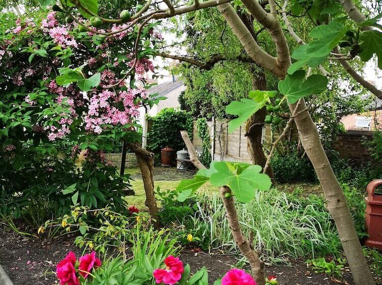 تختخواب و صبحانه Chimneys Guest House