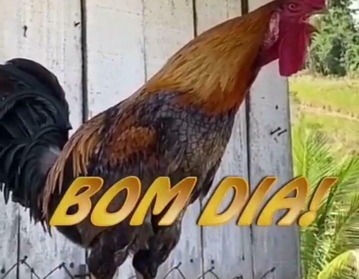 هتل Pousada Vila Sol Maior