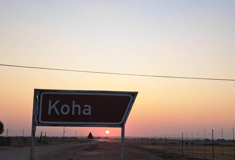 پانسیون Koha Guesthouse