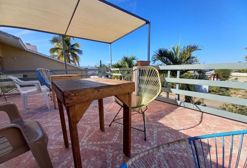 تختخواب و صبحانه Bermejo Hostel