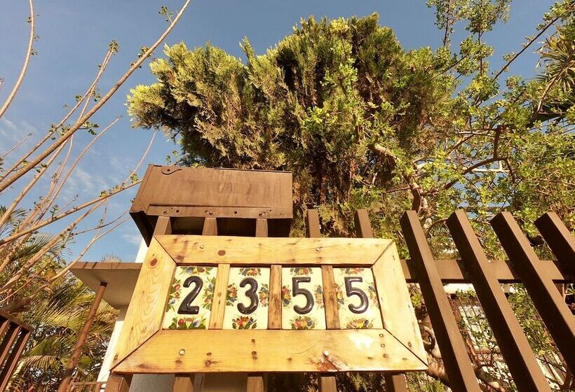 تختخواب و صبحانه Bermejo Hostel