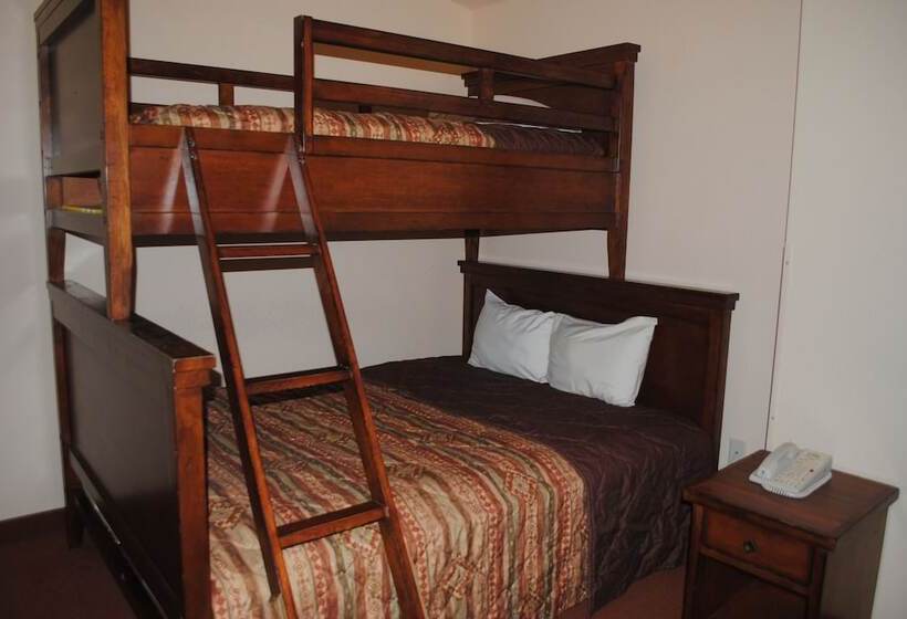 استراحتگاه Wisconsin Dells Area Condominiums