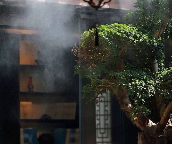 هتل Shuxiang Wenru