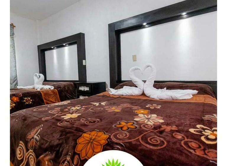 فندق Maguey Blanco