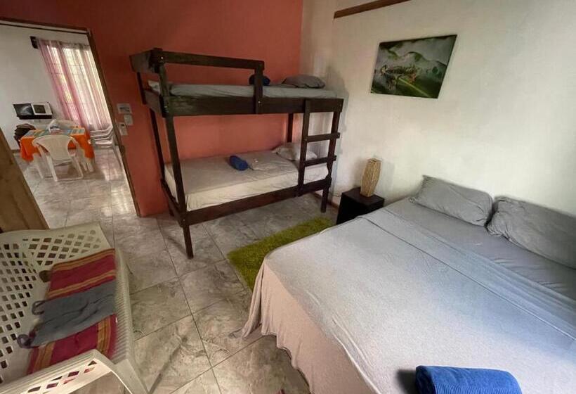 پانسیون Casa Turtle Bogue