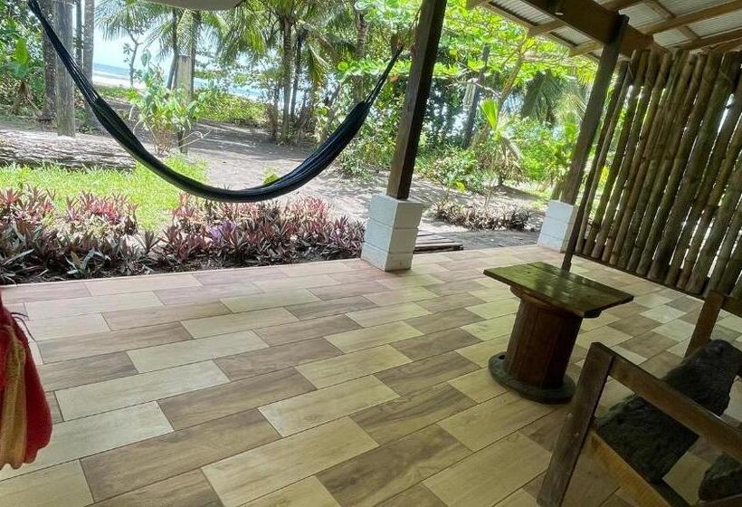 پانسیون Casa Turtle Bogue