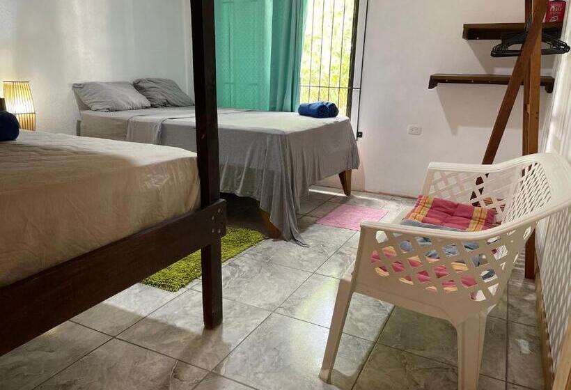 پانسیون Casa Turtle Bogue