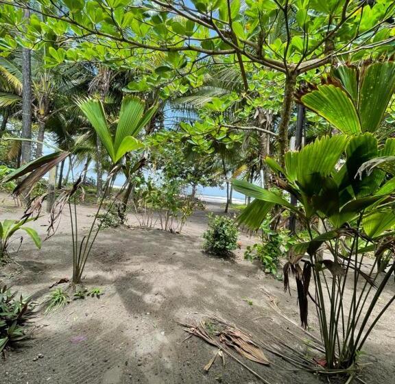 پانسیون Casa Turtle Bogue