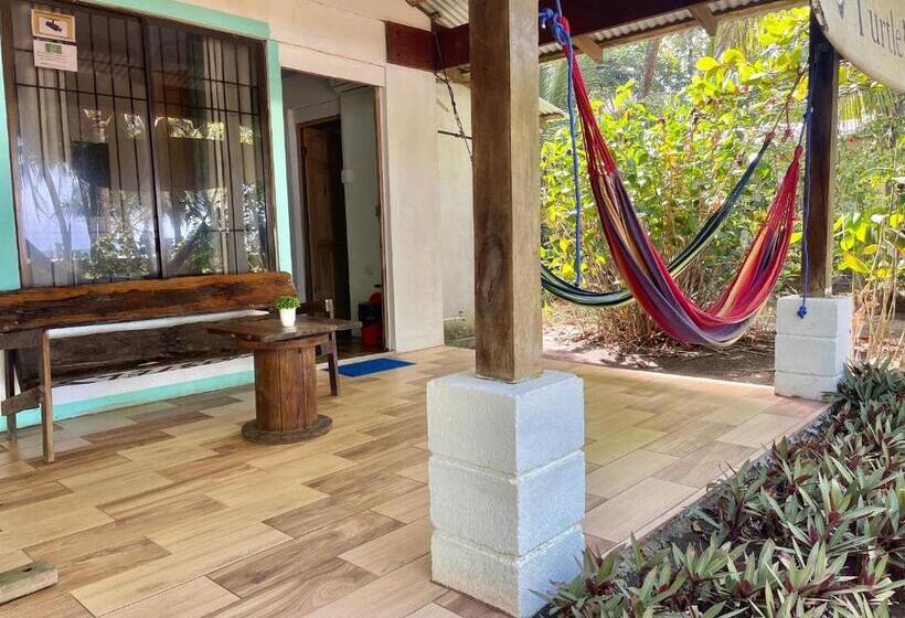 پانسیون Casa Turtle Bogue