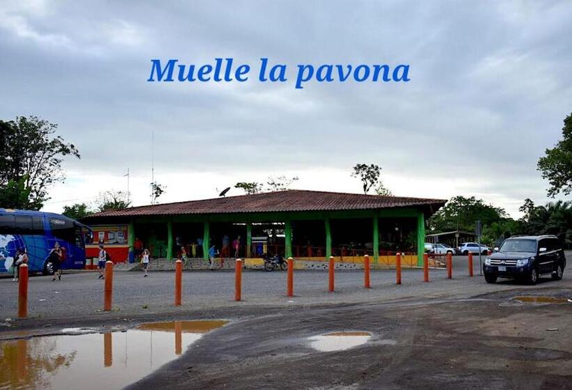 پانسیون Casa Turtle Bogue