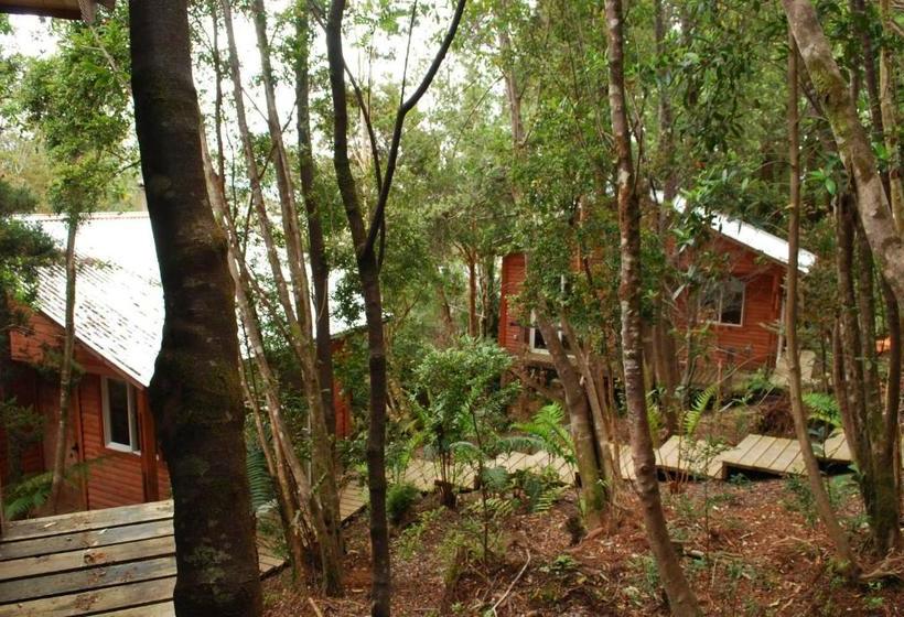 פנסיון Chucao Bosque Y Cabañas