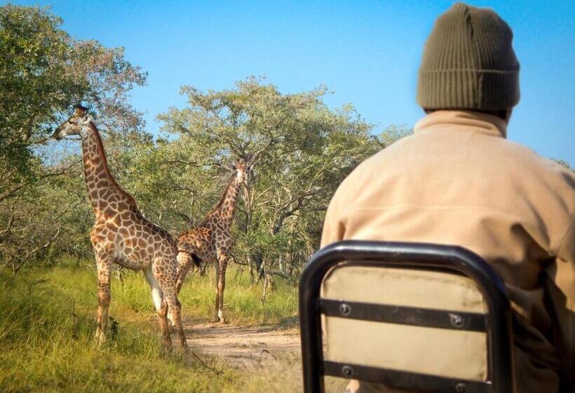 فندق Vuyani River Lodge