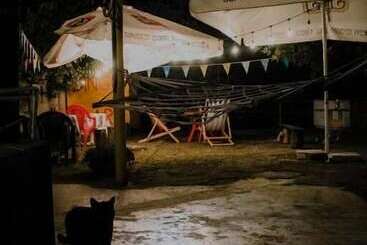 Dingo Backpackers Hostel