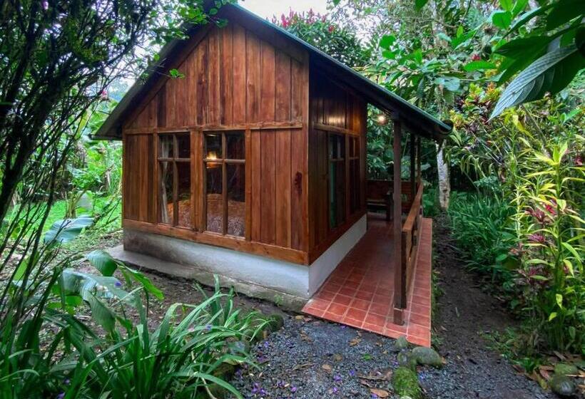 هتل Hostería Los Cedros De Mindo