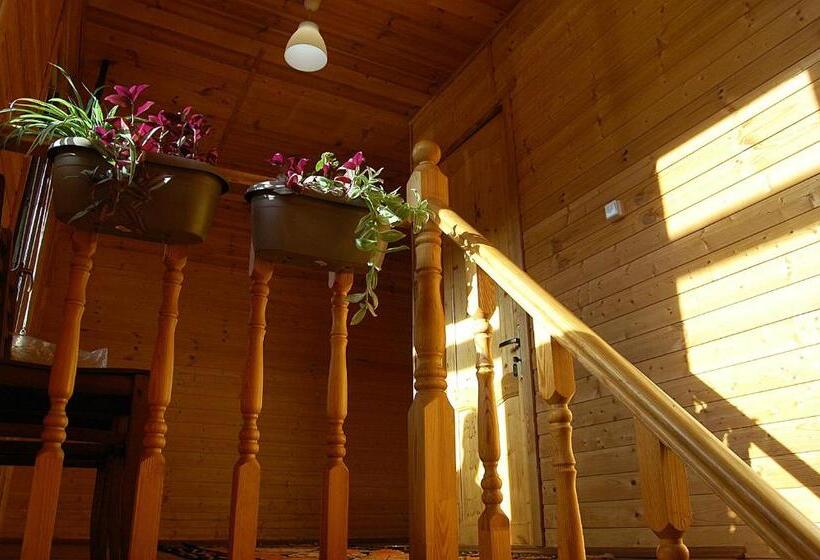 پانسیون Badishi Guesthouse