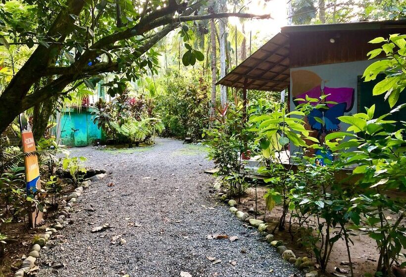 Tasty Dayz Hostel