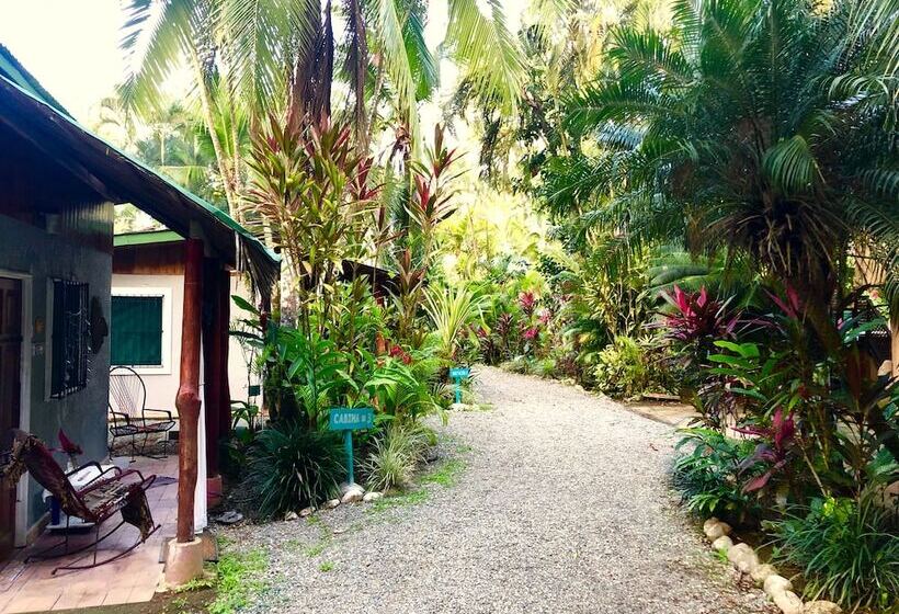 Tasty Dayz Hostel