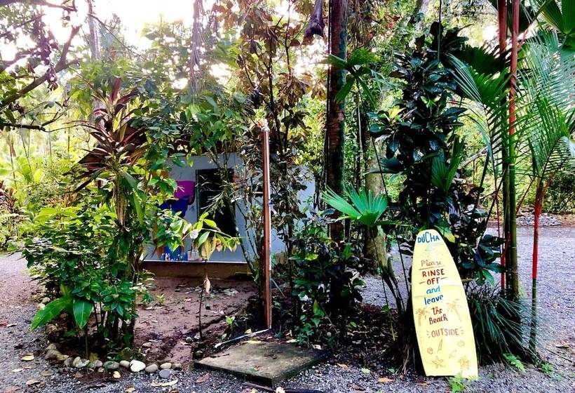 Tasty Dayz Hostel