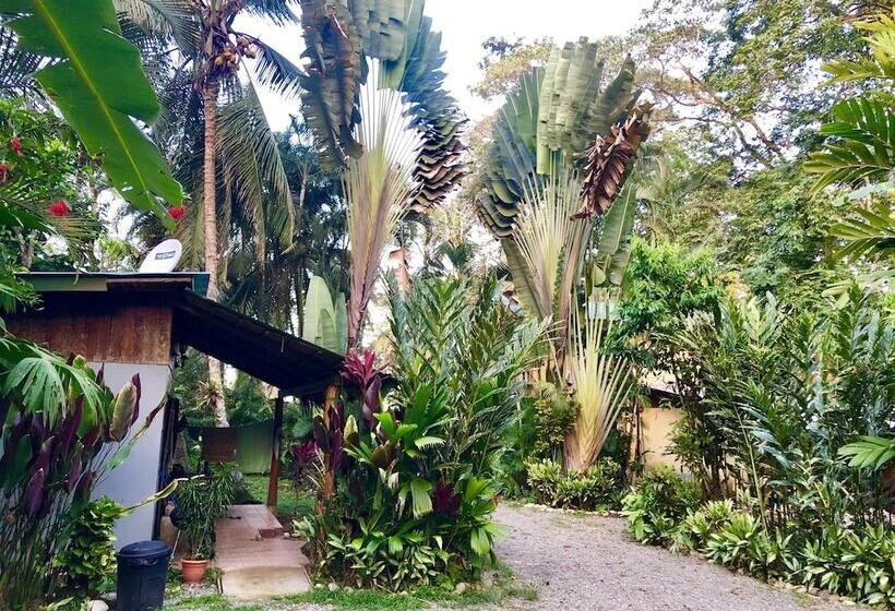 Tasty Dayz Hostel
