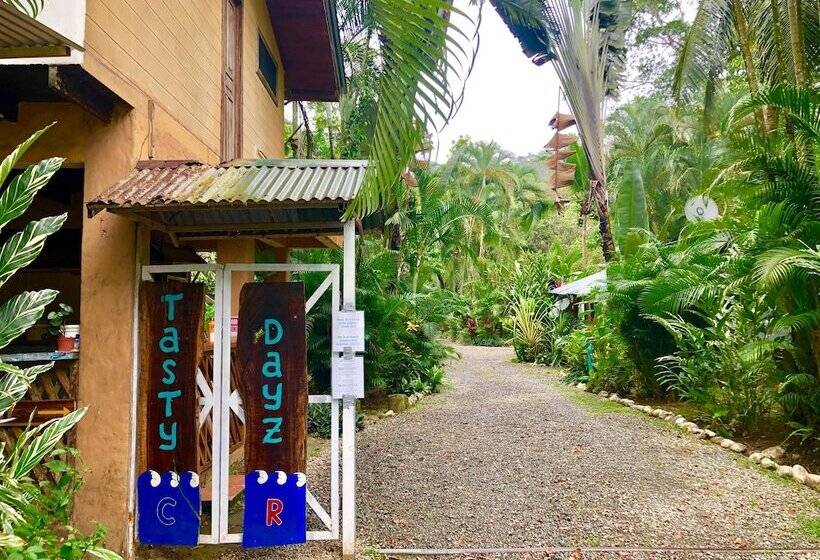 Tasty Dayz Hostel