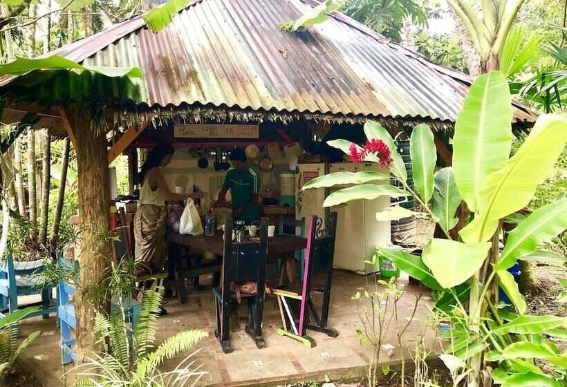 Tasty Dayz Hostel