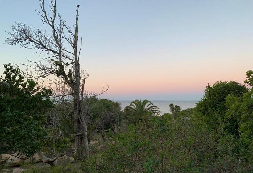 צימר Cycads On Sea Guest House