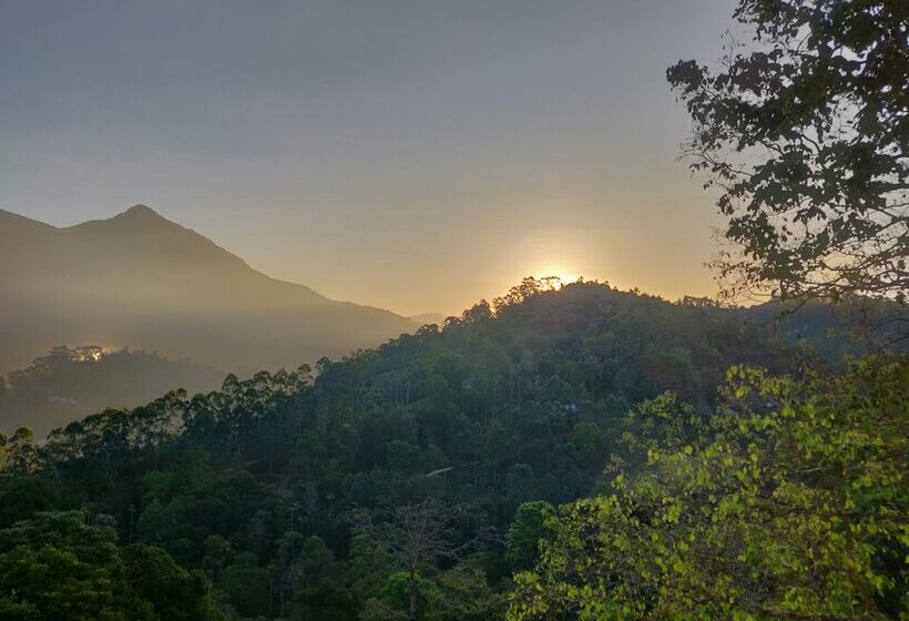 Отель The New Munnar Summer Castle