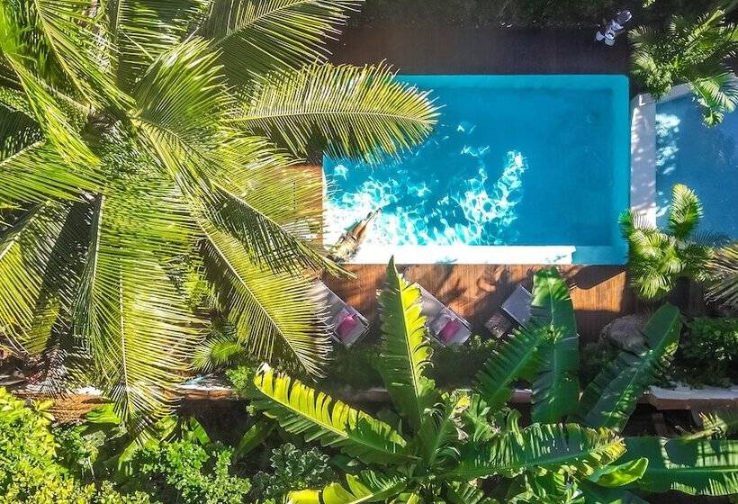 هتل Pousada Agua De Coco