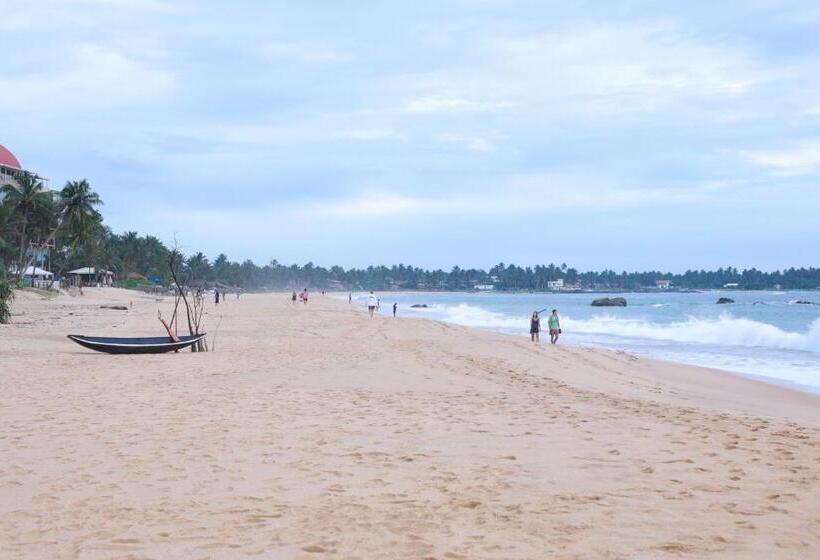 هتل Shenora Beach Resort