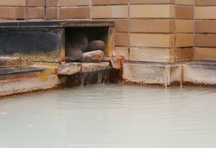 Fotos del hotel Tsumugi:  23