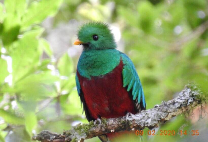 ベッドアンドブレックファースト Miriam S Quetzals Lodge