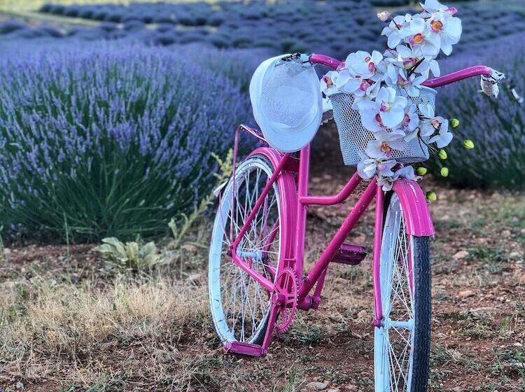 בית מלון כפרי Aliya Konak   Köy Evi Ve Lezzetleri