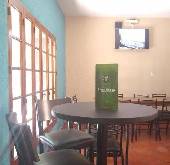 Black Sheep International Hostel